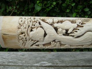 Hand Carved Scrimshaw Swordfish Rostrum Depicting Whales & Mermaids 2