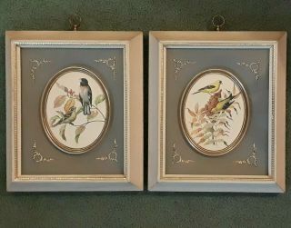 (2) Turner Wall Accessory Bird Prints Rudolf Freund Finch Grosbeak Vintage
