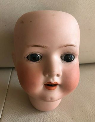 Antique German Bisque Doll Head Heubach Koppelsdorf 302/7 Germany