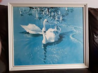 Large Vintage Retro Vernon Ward Swans Framed Print - Harmony Of Spring - Boots