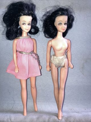 Vintage Pippa Topper Dawn Dolls - Melanie/maureen Black Hair Pink & Silver Dress