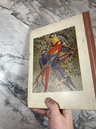 1898 Antique Children ' s Book 