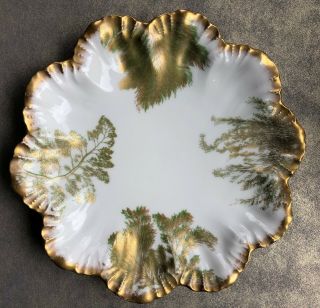 Antique T&v Limoges A L France Hand Painted Seaweed Scalloped Gold Edge Plate