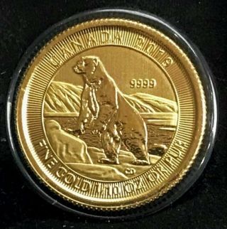 2019 Gold Canada 3.  15 Gram 1/10 Oz $5 Dollar Polar Bear Coin Gem Bu