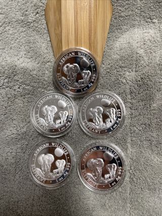 5 Coins 2014 Somalia Elephant " African Wildlife " 1 Oz.  999 Fine Silver Proof