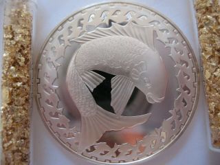 26 Gram.  925 Silver Rare Franklin Proof Greek Fish Good Luck Coin,  Gold