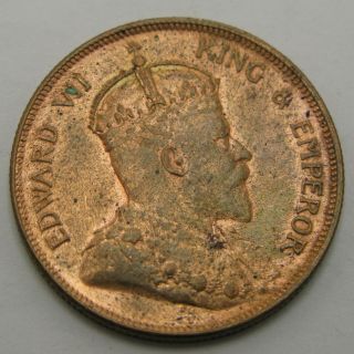 STRAITS SETTLEMENTS (British) 1 Cent 1903 - Bronze - Edward VII.  - VF - - 1322 2
