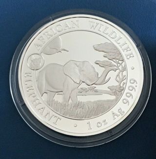 2019 1 Oz Somalia Silver Elephant Coin With Pig Privy Mark - African Wildlife