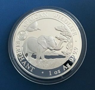 2019 1 Oz Somalia Silver Elephant Coin with Pig Privy Mark - African Wildlife 3