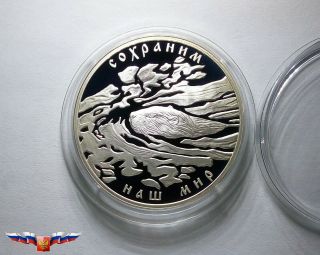 Russia 3 Rubles 2008 European Beaver Silver 1 Oz Proof