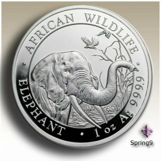 2018 1 Oz Somalia Silver Elephant Coin (bu) With Capsule - Coins Spring9 Bu