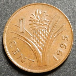 Swaziland 1 Cent 1995 Km 51 Copper Plated Steel 1 - Year Type Rare