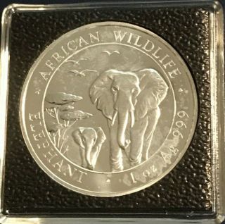 2015 Somalia African Wildlife Elephant 1 Oz Silver 100 Shillings Coin In Holder