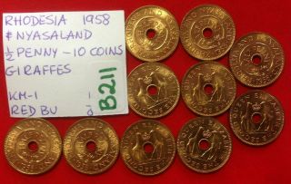 B211 Rhodesia & Nyasaland; 10 Coins From Bag - 1/2 Penny 1958 Giraffes Red Bu
