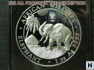 Noblespirit 2017 1oz Fine Silver Prooflike Somalia African Elephant