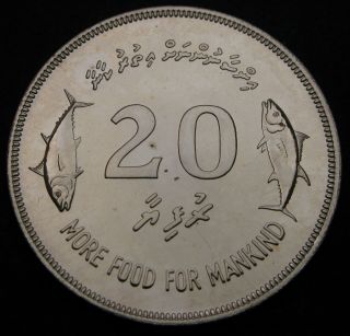 Maldive Islands 20 Rufiyaa Ah1397 / 1977 - Silver - F.  A.  O.  - Aunc - 3839