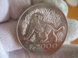 Indonesia 1974 2000 Rupiah Silver Tiger Coin Uncirculated,  Proof - Like
