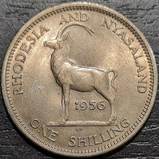 Rhodesia & Nyasaland 1956 One Shilling,  Km 5,  Uncirculated