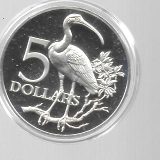 Trinidad & Tobago 1973 5 Dollars Sterling Silver Coin Km - 8 Choice Proof