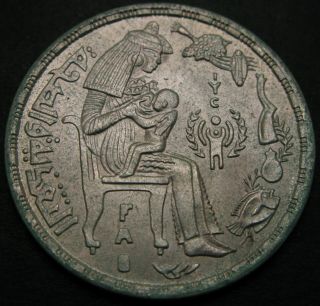 Egypt 1 Pound Ah1399 / Ad1979 - Silver - F.  A.  O.  And I.  Y.  C.  - Aunc - 3287