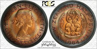 1962 Zealand Half Penny Pcgs Ms64rb Rainbow Color Toned Coin