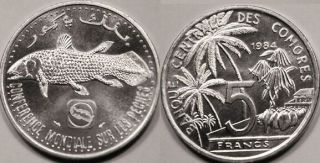 1984 Comoros 5 Francs Coelacanth Fish - Endangered Species - Bu