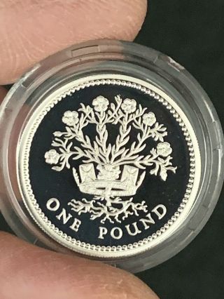 1991 United Kingdom Royal Silver Proof One Pound Coin Deep Mirrors