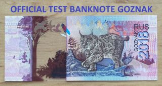 Russia Test Banknote Goznak 2018 Polymer Series гх Lynx Unc Rare