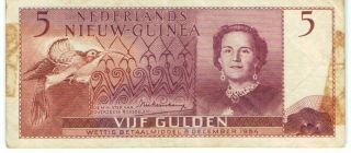 Rare Netherlands Guinea 5 Gulden 1954 P - 13 Banknote - K193 - Ark