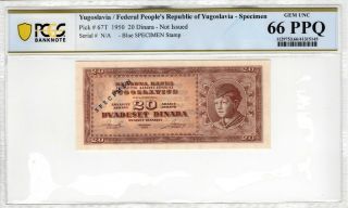 Yugoslavia 1950 20 Dinara Specimen Pcgs Banknote Certified Gem Unc 66 Ppq 67t