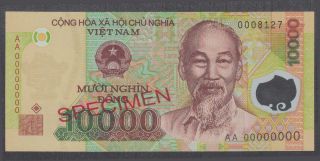 Vietnam 10000 Dong Polymer Specimen Banknote P - 119s Unc