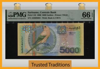 Tt Pk 152 2000 Suriname Centrale Bank 5000 Gulden Bird Pmg 66 Epq Gem Unc