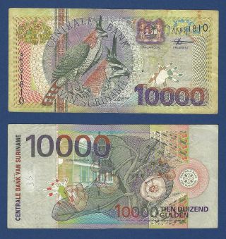 Suriname Bird Series 10,  000 Gulden 2000,  P - 153,  Circulated,  Popular Note 10000