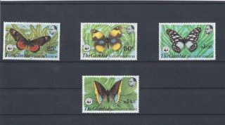 The Gambia 1980 Mnh Wwf Butterflies Set See