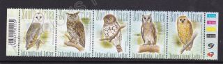 South Africa Mnh Stamp Set 2007 South African Owls Sg 1622 - 1626