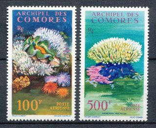 Comoro Islands / Comores 1962 Marine Plants Mnh Set Giant Clam/stoney Coral 866