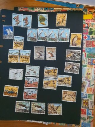 Botswana Bird Stamps,  Part Sets,  1982 P2 ×2 And P1 £70 Cat Value,  1967 / 1997