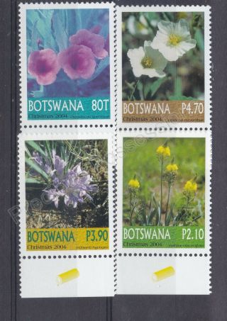 Botswana Mnh Stamp Set 2005 Christmas Flowers Sg 1028 - 1031