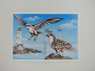 Gambia - Postage Stamp - Souvenir Sheet - Lighthouse - Osprey - 1997 - Mnh