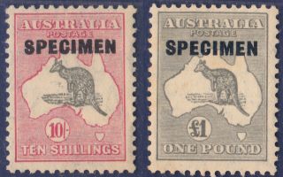 Australia Kangaroo Stamp Of 10 Shillings And 1 Pound Specimen Hinged.