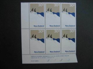 Zealand Nhm Plate Block - 1970 Pictorials 30c No 3333 Sg 931a