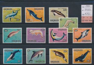 Lo14076 Cook Islands 1984 Dolphin Sealife Fine Lot Mnh Cv 26,  5 Eur