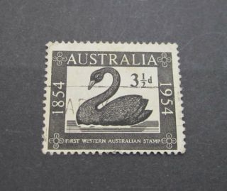 Australia 1953 - 54 Black Swan Stamp Fine Ref:179