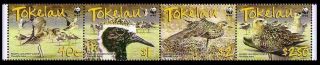 Tokelau Birds Wwf Pacific Golden Plover Strip Of 4v 2007 Mnh Sg 382 - 385