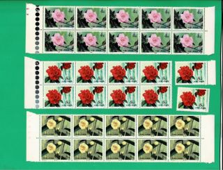 China PRC 1979 T37 Camellias of Yunnan Block of 10 (8,  1,  1) have imprint MNH 2