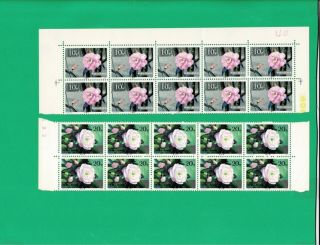 China PRC 1979 T37 Camellias of Yunnan Block of 10 (8,  1,  1) have imprint MNH 4