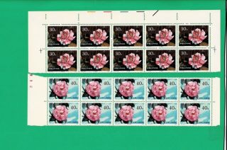 China PRC 1979 T37 Camellias of Yunnan Block of 10 (8,  1,  1) have imprint MNH 6