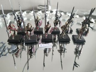 Warhammer Fantasy Aos Legions Of Nagash Skeleton Warriors Painted Wellx10 D017