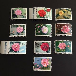 China Sc 1530 - 9 1979 T37 Camellias Flowers Stamp Set Of 10 Hinged