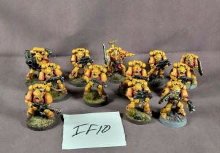 Warhammer 40k Space Marines Tactical Squad X12 Imperial Fists (if10)